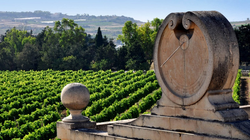 Medieval Mdina & Winery Tour (SE12)